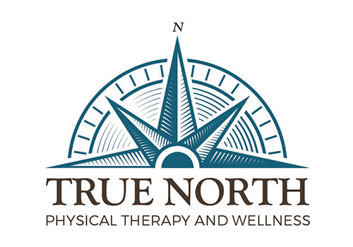 logo design true north physical therapy